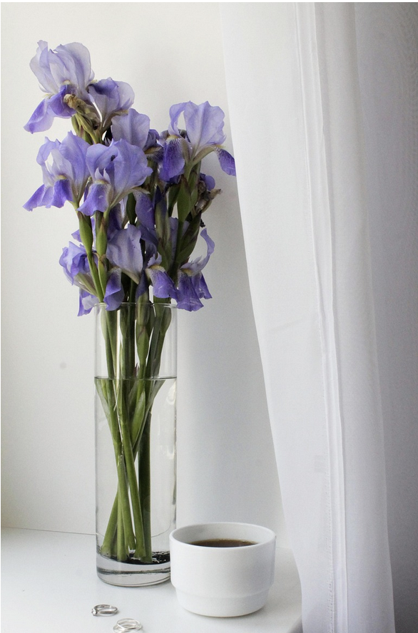 Деловой этикет в цветах – какие цветы дарить коллеге