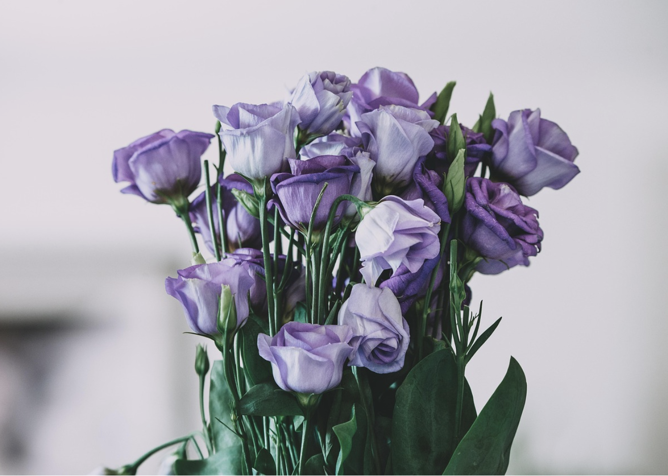 Язык вечности – как выбрать цветы на годовщину отношений