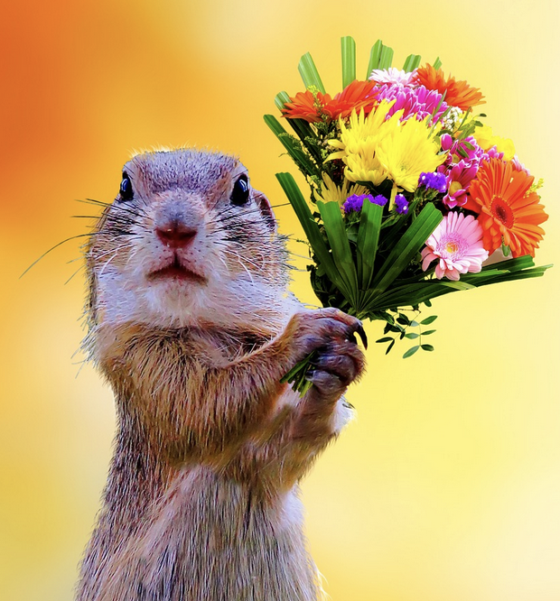 Эмоции в словах – как отзывы клиентов становятся лучшей рекламой