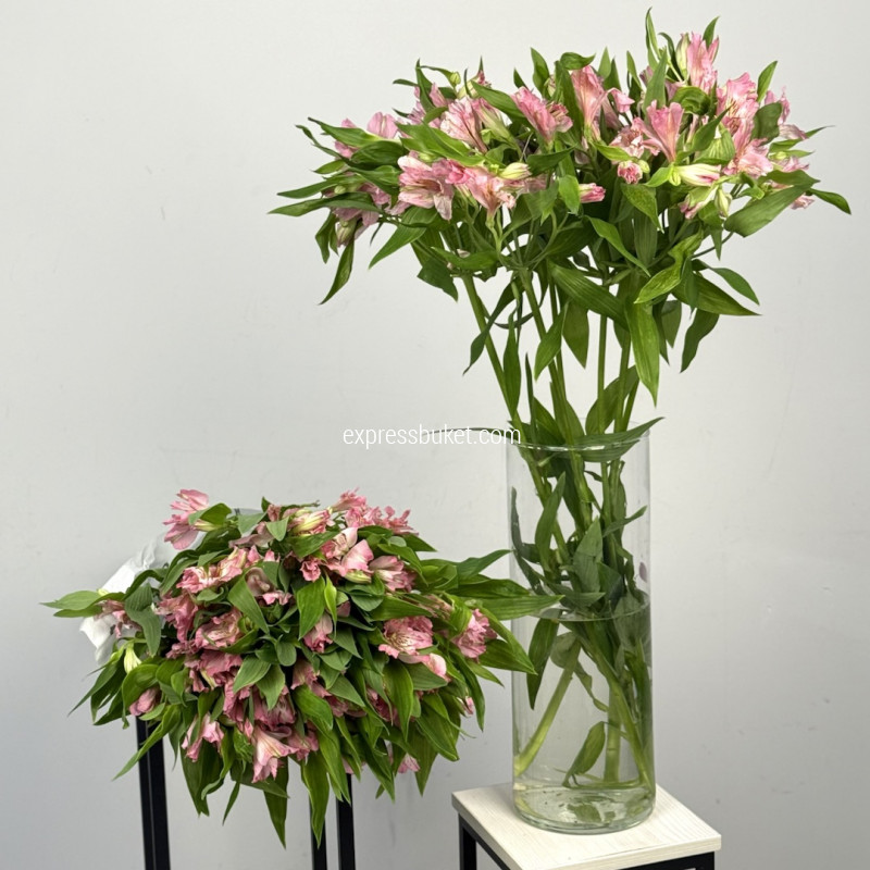 Розовая альстромерия, 10 шт