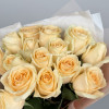 15 персиковых роз