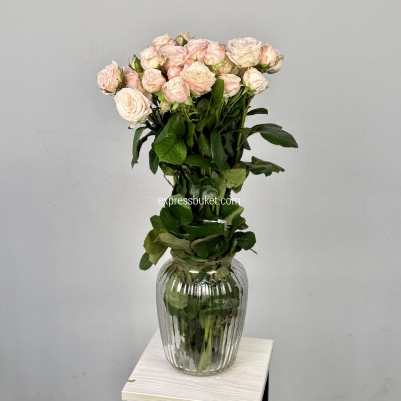 Розы Бомбастик, 10 шт